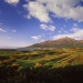 Royal County Down