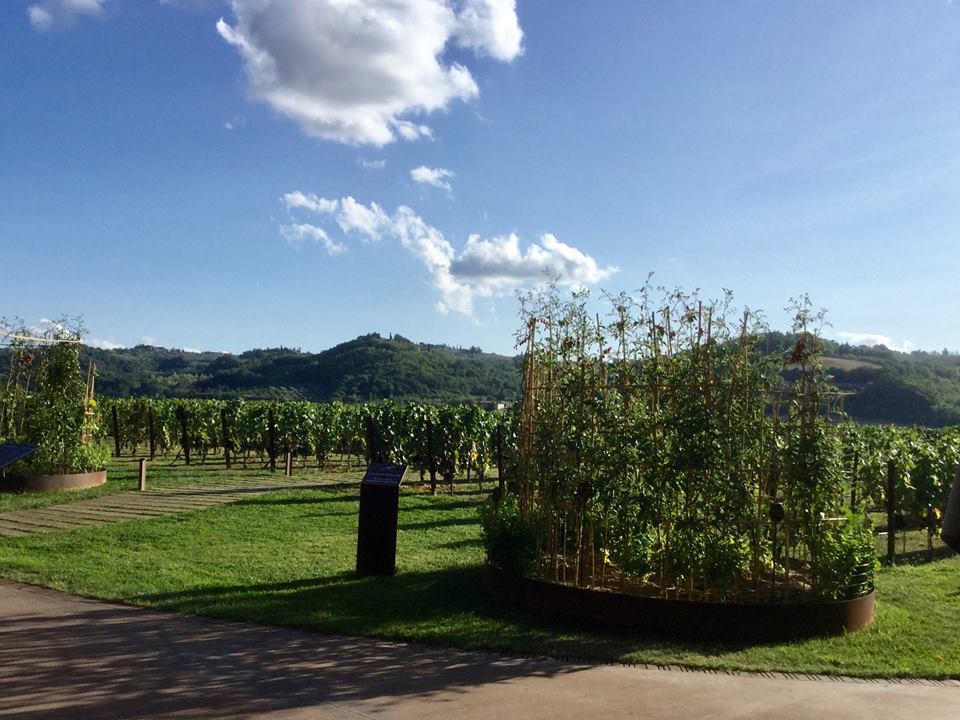 <h2>The Best of Italy Escorted 2017</h2>12 Nights including Rome, Florence & Lake Como | 5 Rounds | August 27  – September 8