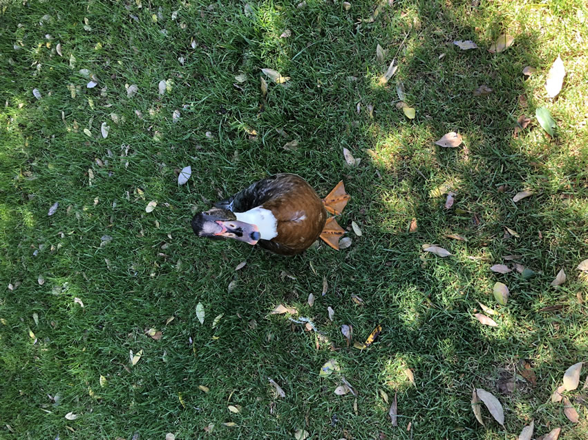 <h2>The Best of New Zealand Escorted 2018</h2>Taupo, Napier, Wellington & Queenstown