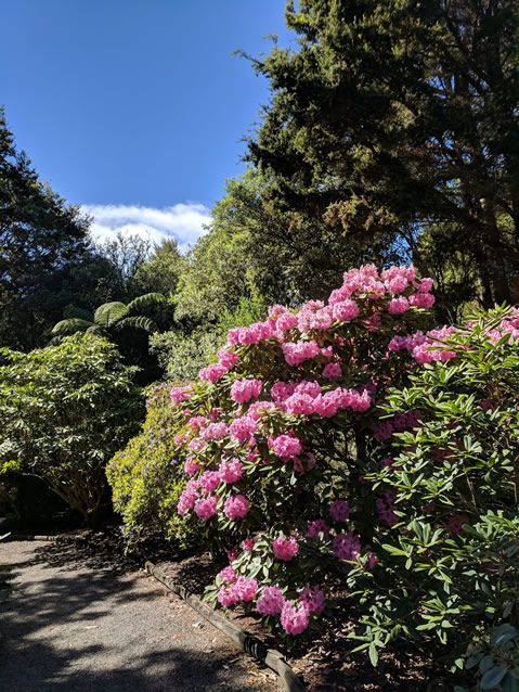 <h2>The Best of New Zealand Escorted 2018</h2>Taupo, Napier, Wellington & Queenstown