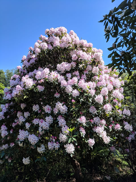 <h2>The Best of New Zealand Escorted 2018</h2>Taupo, Napier, Wellington & Queenstown