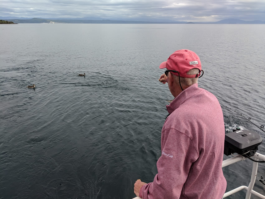 <h2>The Best of New Zealand Escorted 2018</h2>Taupo, Napier, Wellington & Queenstown