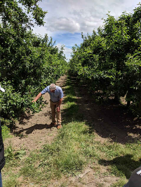 <h2>The Best of New Zealand Escorted 2018</h2>Taupo, Napier, Wellington & Queenstown