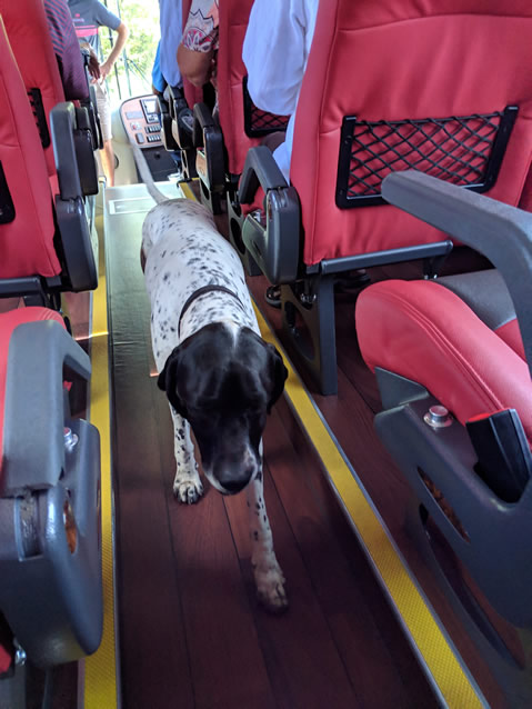 <h2>The Best of New Zealand Escorted 2018</h2>Taupo, Napier, Wellington & Queenstown