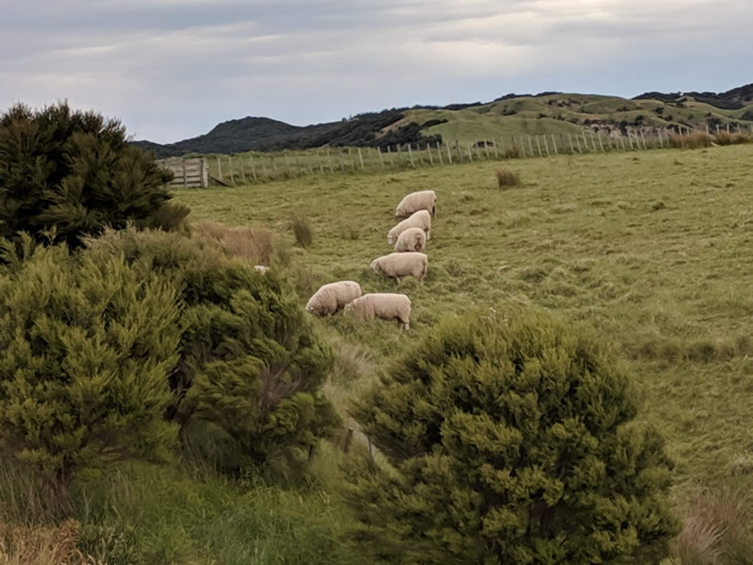 <h2>The Best of New Zealand Escorted 2018</h2>Taupo, Napier, Wellington & Queenstown