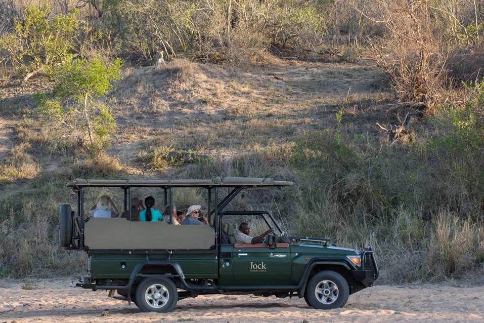 <h2>The Best of South Africa Escorted 2018</h2>Golf, Kruger Safari, Cape Town, the Winelands & Garden Route